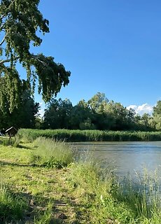 Janus Country Site Arpad Haz Szakcs