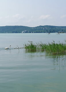 Ani Camping Szantod