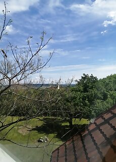 Maksateto Nyaralohaz Szentbekkalla