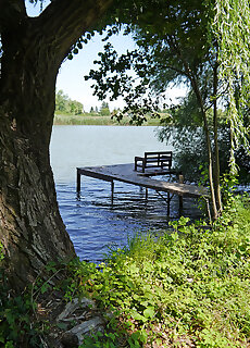 Kisdunapart 510 Taksony