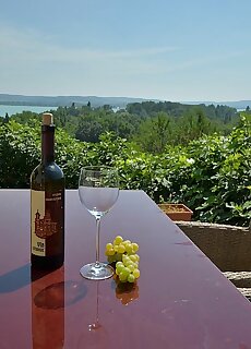 Panorama Villa Tihany