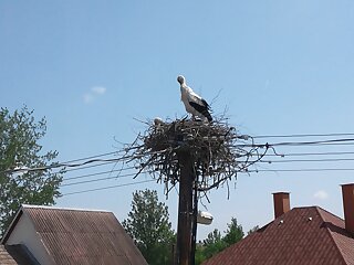 Tiszavirag Vendeghaz Falusi Szallashely Kisar szállás