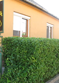 Eva Vendegszoba Tokaj