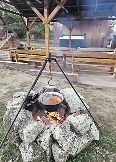 Toparti Ronkhaz Vaja