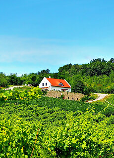 Borbora Borhaz Villa Vaszoly