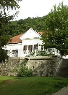 Ezustfenyo Udulo Visegrad