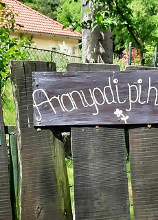 Aranyodi Piheno Zalaszentgrot