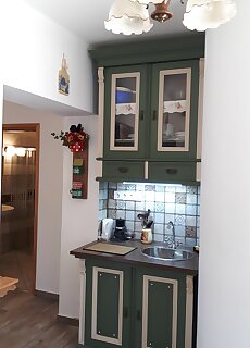 Mini Vendeghaz Apartman Budaors