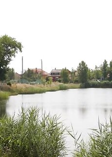 Erdos Vendeghaz Es Apartman Mosonmagyarovar