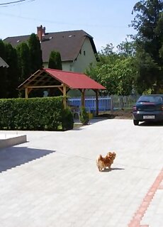 Napfeny Vendeghaz Es Apartman Szilvasvarad