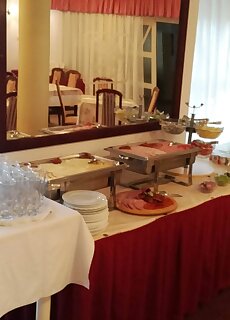 Hotel Aranysas Alsoors