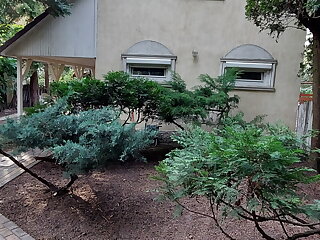 Cedrus Vendeghaz Kunfeherto szállás