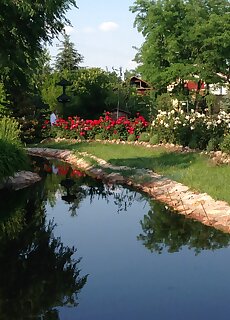 Termal Hotel Pavai Gyogyszallo Berekfürdő