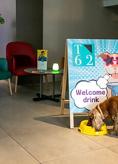 T62 Hotel Budapest