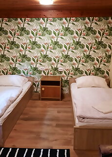 Hotel Europa Dombovar Gunaras