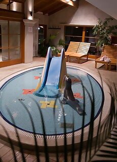 Egri Korona Borhaz Borfalu Wellness Hotel Es Kemping