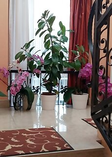 Hotel Isabell Gyor