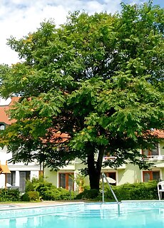 Abbazia Club Hotel Kek Keszthely