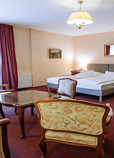 Pannonia Hotel Sopron