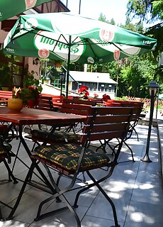 Ezustfenyo Hotel Telkibanya