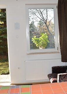 Budakeszi Margareta Panzio***