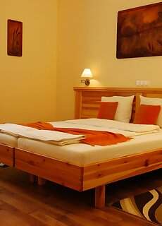 Manzard Panzio Budapest