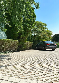 Irisz Panzio Budapest
