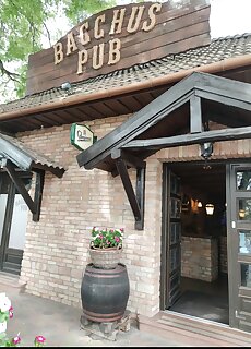 Bacchus Pub Es Panzio Dunaharaszti