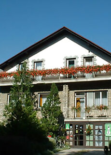 Muskatli Panzio Gyor