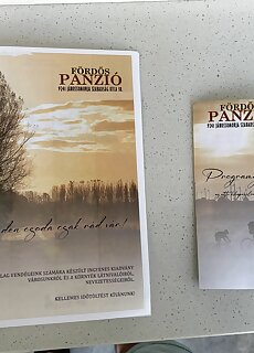 Fordos Panzio Janossomorja