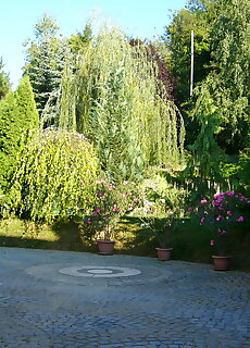 Club Leonardo Panzio Mogyorosbanya