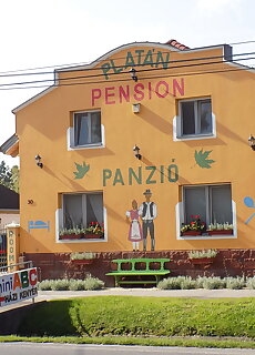 Platan Panzio Nyul