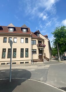 Palma Panzio Dent Sopron