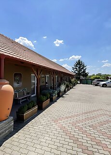 Vadvirag Panzio Tatabanya