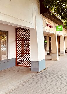 Gina Vendeghaz Abadszalok