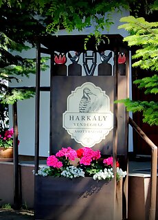 Harkaly Vendeghaz Asotthalom