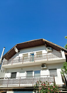 Aniko Vendeghaz Badacsonylabdihegy
