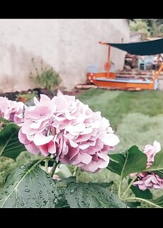Veled Teljes Vendeghaz Badacsonytomaj
