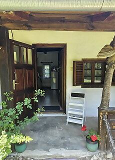 Birsalmafa Vendeghaz Bajansenye