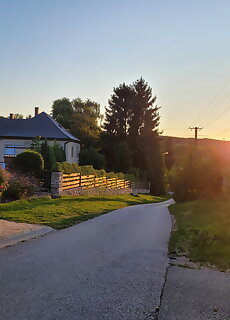 Gombas Vendeghaz Bakonyszentkiraly