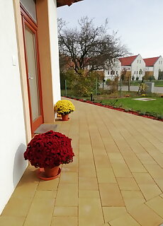 Egrelato Vendeghaz Balatonakali
