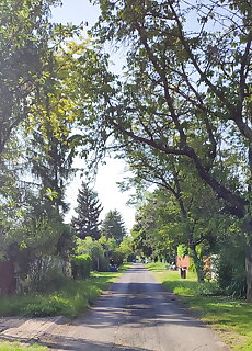 Liliomvolgy Vendeghaz Balatonaliga
