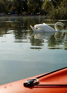 Kajak Kucko Vendeghaz Balatonalmadi