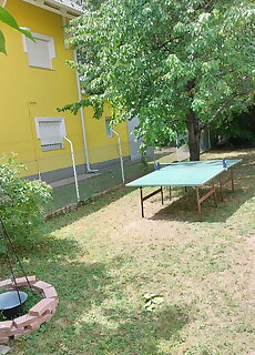 Fecske Vendeghaz Balatonalmadi
