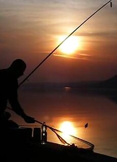 Attila Vendeghaz Balatonboglar