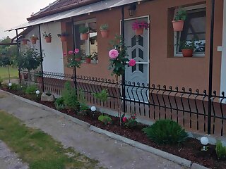 Sarolta Vendeghaz Olaszliszka szállás