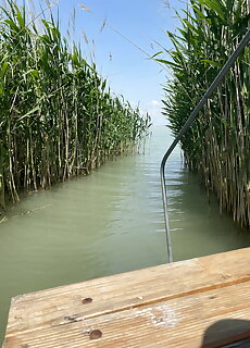 Haziko Vendeghaz Balatonfenyves