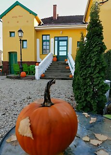 Rita Vendeghaz Balatonfured
