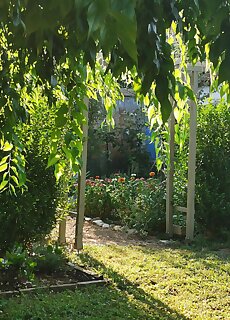 Lelle Cottage Vendeghaz Balatonlelle