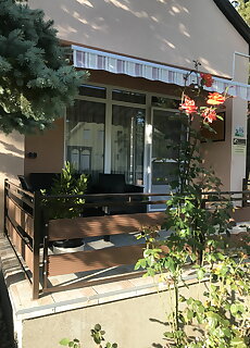 Bambi Vendeghaz Balatonmariafurdo